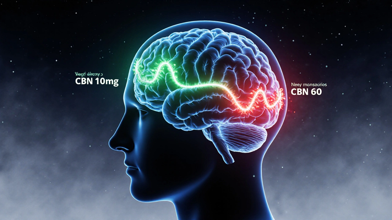 Gehirn mit zwei Wirkungswegen: sanfte grüne Schlafwellen vs. überladene rote Nebelwellen durch zu viel CBN.