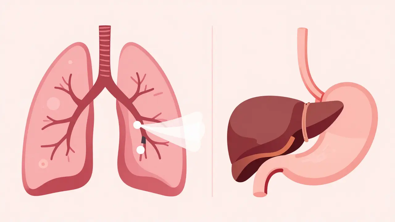 Illustration: Schnelle Lungenaufnahme vs. langsame orale CBD-Aufnahme