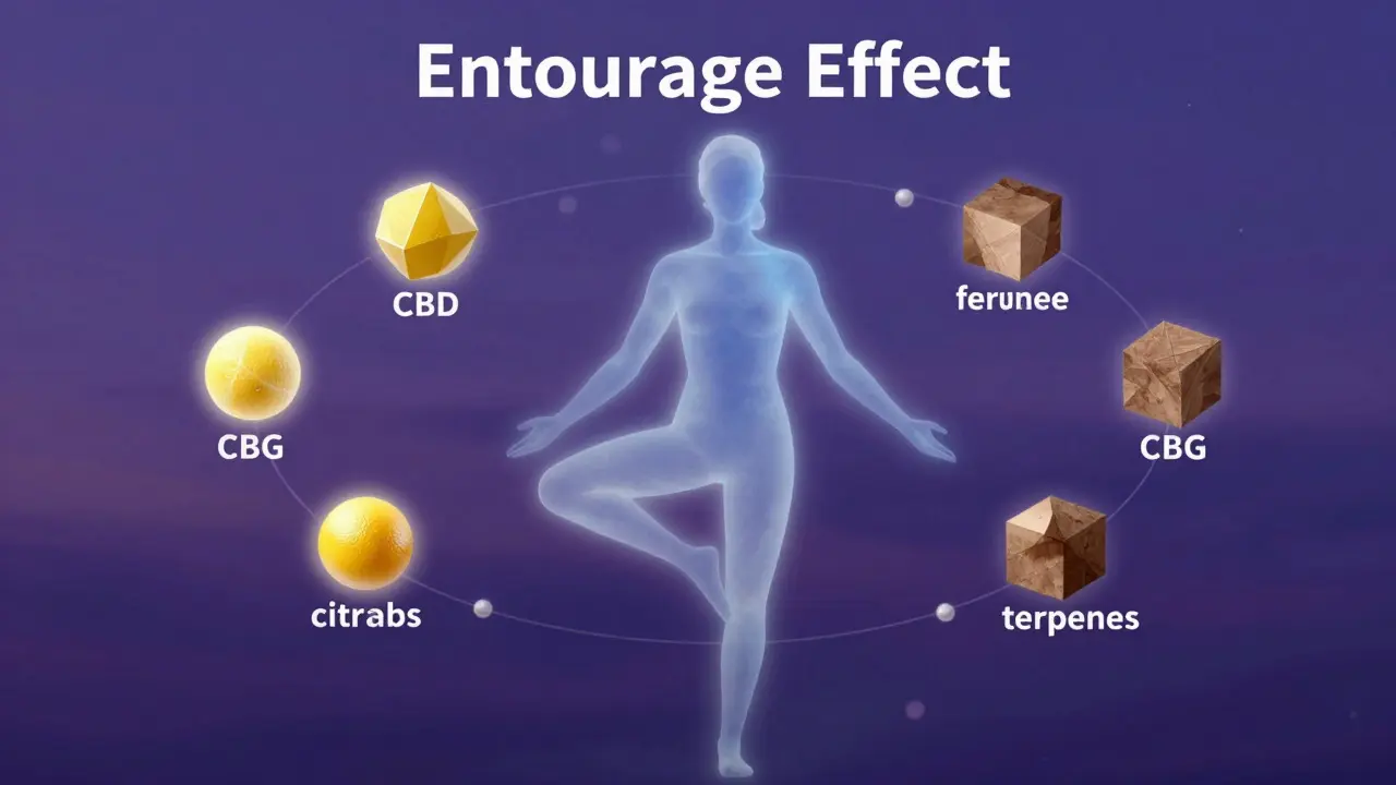 Abstrakte Darstellung des Entourage-Effekts mit schwebenden Cannabinoiden
